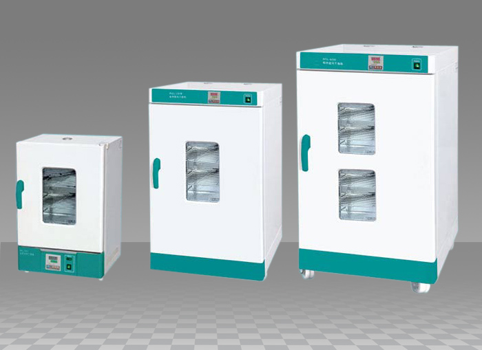 WGLL系列電熱鼓風干燥箱