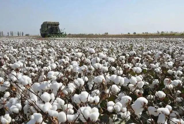 重磅！美方再度